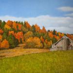 "Autumn in the Country", oil on panel, 6" x 8", Robert K. Roark