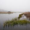 "Spring Fog Moving In, Sesuit Marsh", photography by Anita Winstanley Roark.  Contact us for edition and size availability.  