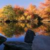 "Autumn Splendor, Yarmouth", photography by Anita Winstanley Roark.  Contact us for edition and size availability. 