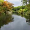 "Spring Reflections", photography by Anita Winstanley Roark.  Contact us for edition and size availability. 