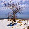 "Winter Vigile, Barnstable Harbor", photography by Anita Winstanley Roark.  Contact us for edition and size availability.  