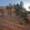 "Cliff Dwellers, Red Rock Canyon", photography by Anita Winstanley Roark.  Contact us for edition and size availability.  