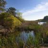 "Spring Comes to the Pamet, Truro", photography by Anita Winstanley Roark.  Contact us for edition and size availability.