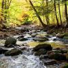 "Autumn Morning Light, VT" , photography by Anita Winstanley Roark.  Contact us for edition and size availability.