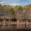 "Winter Pond, Eastham", photography by Anita Winstanley Roark.  Contact us for edition and size availability.