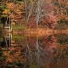 "Cape Cod Autumn", photography by Anita Winstanley Roark.  Contact us for edition and size availability.