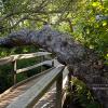 "Over the Bridge", photography by Anita Winstanley Roark.  Contact us for edition and size availability.  