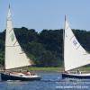 "AP Lynx Heading Home", photography by Anita Winstanley Roark.  Contact us for edition and size availability.  