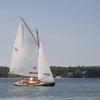 "Sea Lion, APBY 2014 Cat Gathering Warm-up Race 6", photography by Anita Winstanley Roark.  Contact us for edition and size availability.  