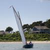 "Sea Lion 4, APBY 2014 Cat Gathering Warm-up Race 6", photography by Anita Winstanley Roark.  Contact us for edition and size availability.  