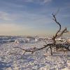 "Barnstable Harbor after Neptune", photography by Anita Winstanley Roark.  Contact us for edition and size availability.  